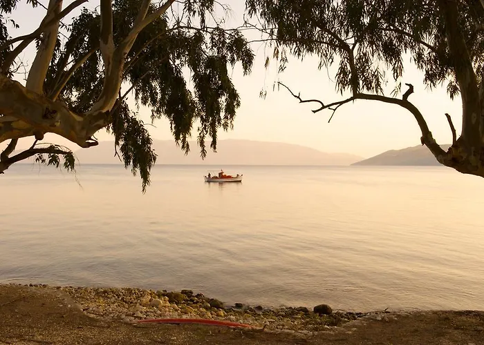 Dimitris Апартаменты